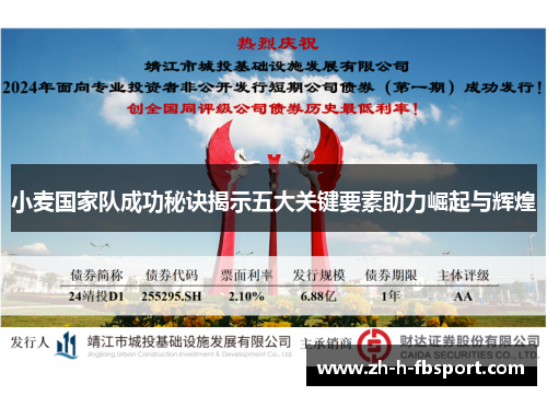 小麦国家队成功秘诀揭示五大关键要素助力崛起与辉煌