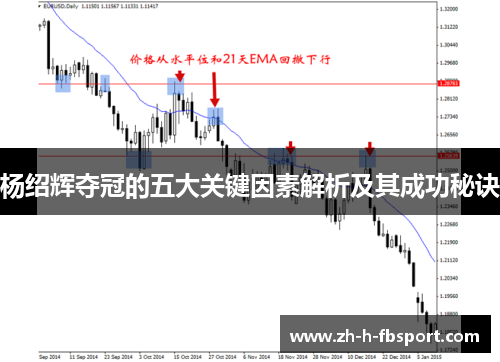 杨绍辉夺冠的五大关键因素解析及其成功秘诀