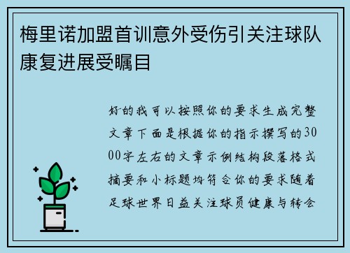 梅里诺加盟首训意外受伤引关注球队康复进展受瞩目